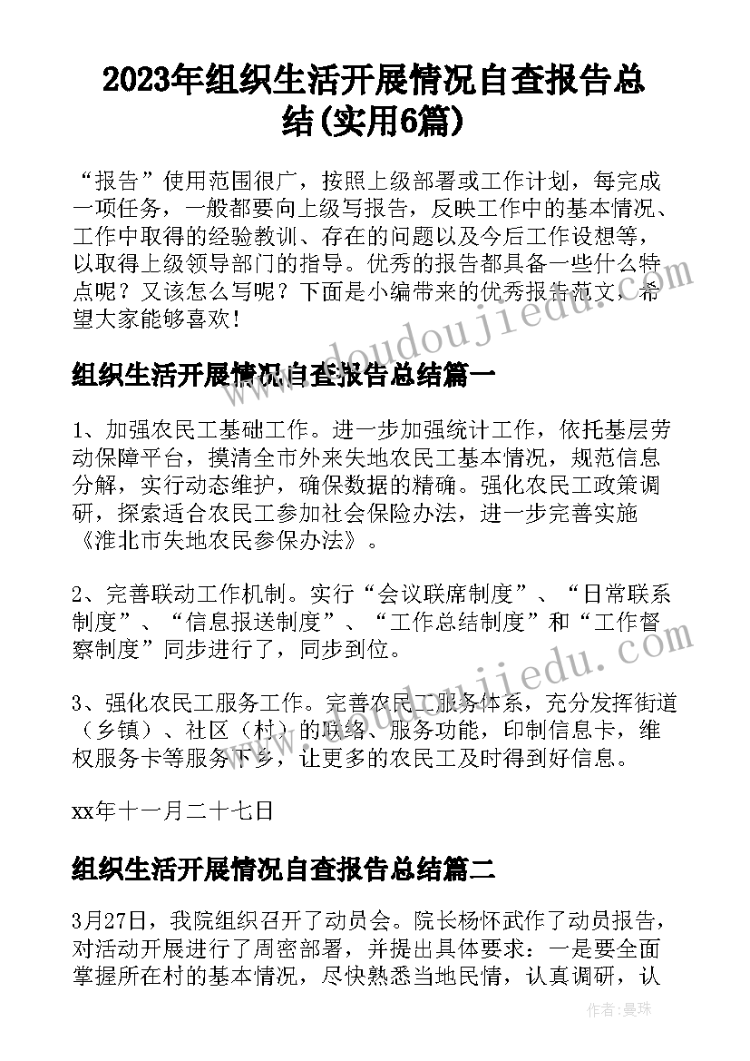 2023年组织生活开展情况自查报告总结(实用6篇)