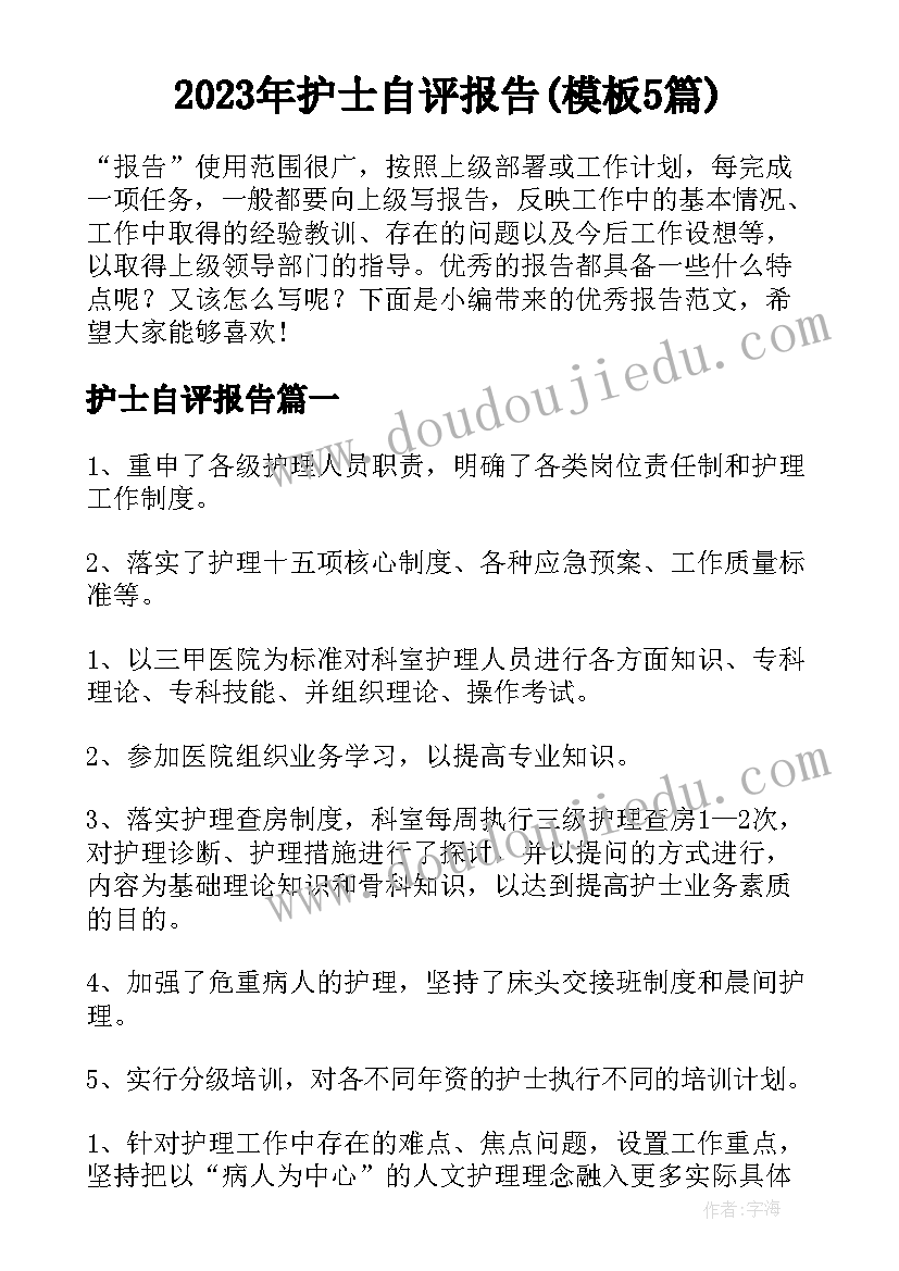 2023年护士自评报告(模板5篇)