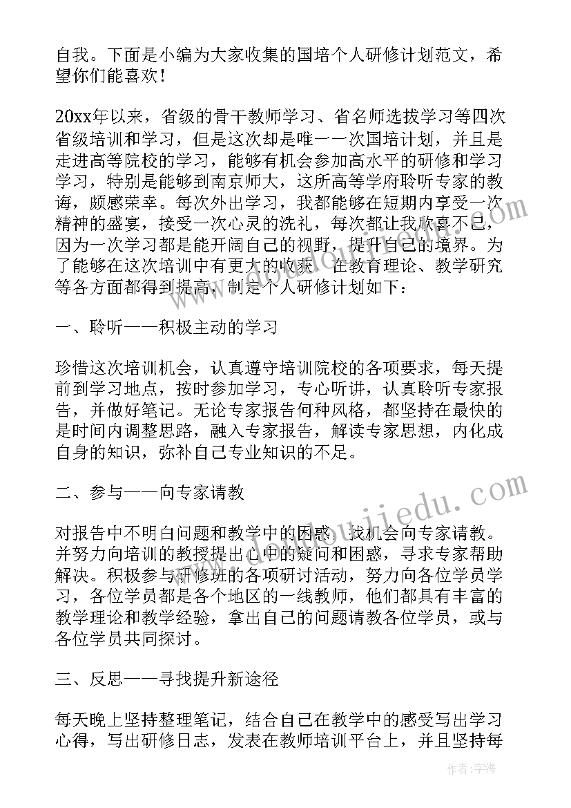 2023年国培案例总结 国培个人研修计划(实用5篇)