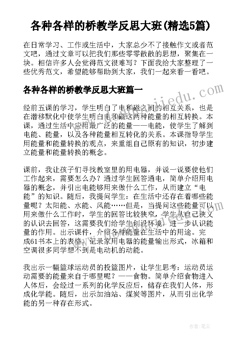 各种各样的桥教学反思大班(精选5篇)