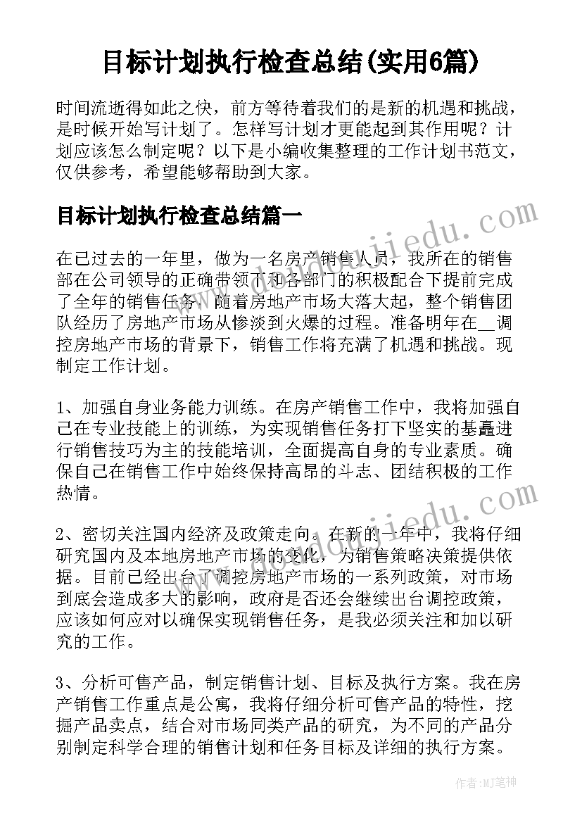 目标计划执行检查总结(实用6篇)