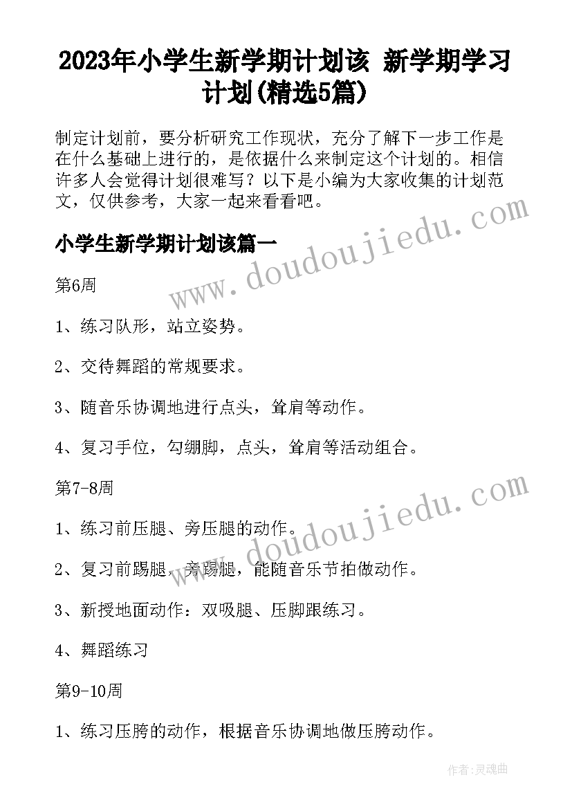 2023年小学生新学期计划该 新学期学习计划(精选5篇)