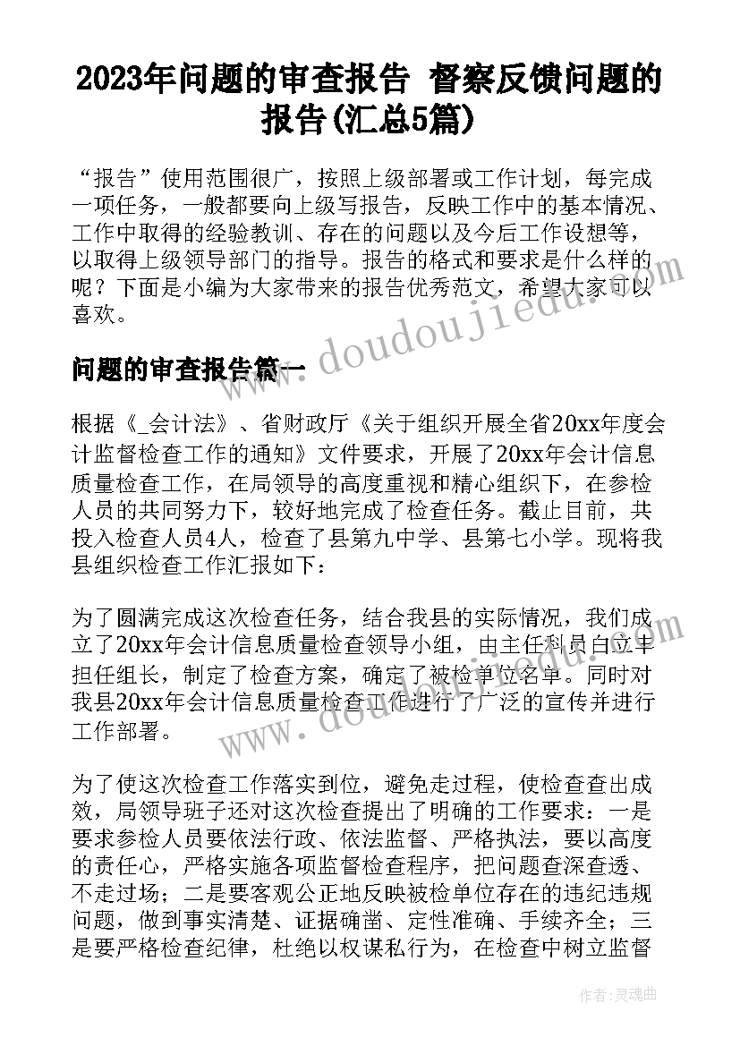 2023年问题的审查报告 督察反馈问题的报告(汇总5篇)