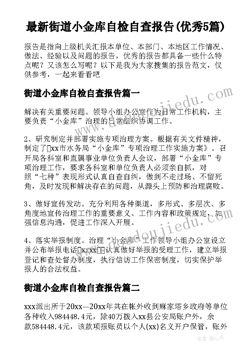 最新街道小金库自检自查报告(优秀5篇)