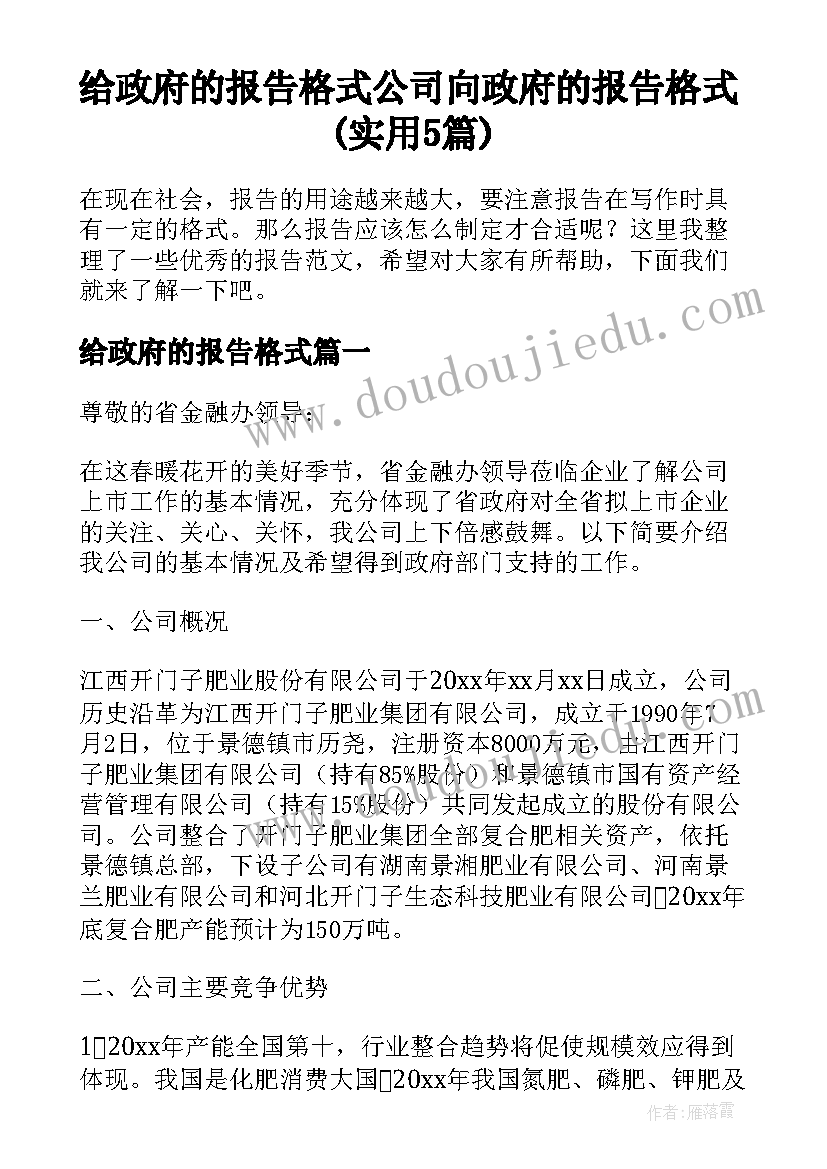 给政府的报告格式 公司向政府的报告格式(实用5篇)