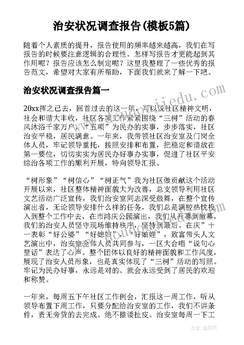 治安状况调查报告(模板5篇)