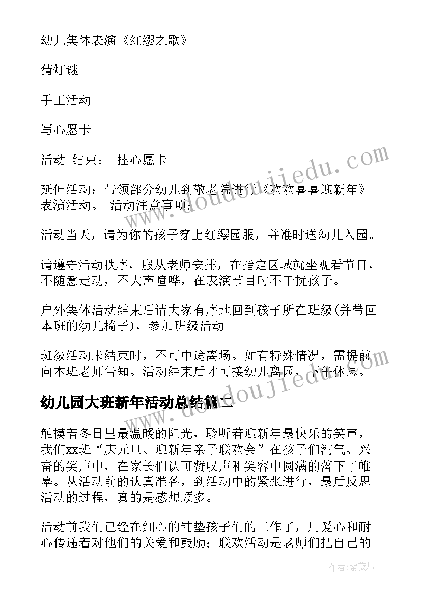 最新幼儿园大班新年活动总结(大全5篇)