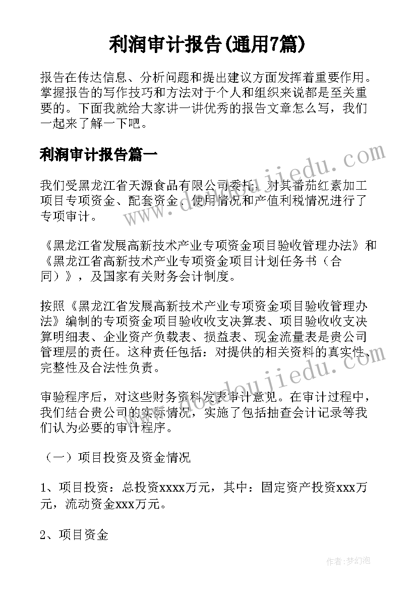 利润审计报告(通用7篇)