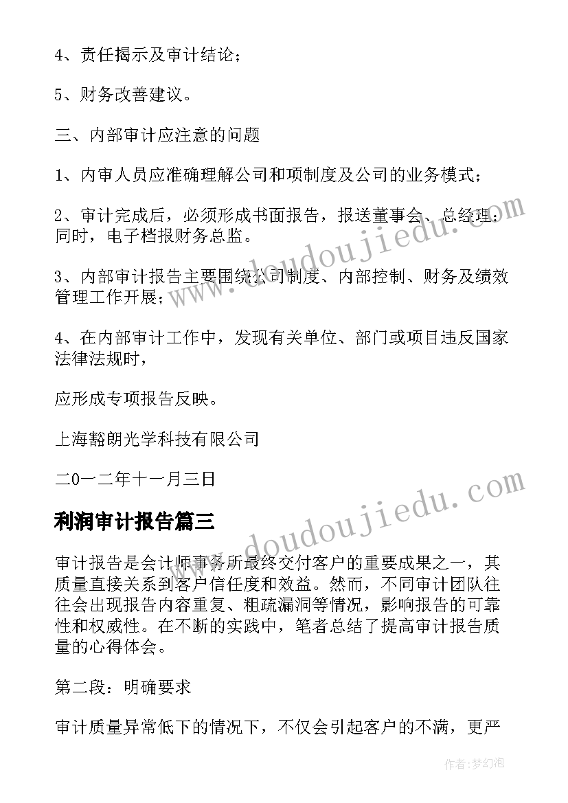 利润审计报告(通用7篇)