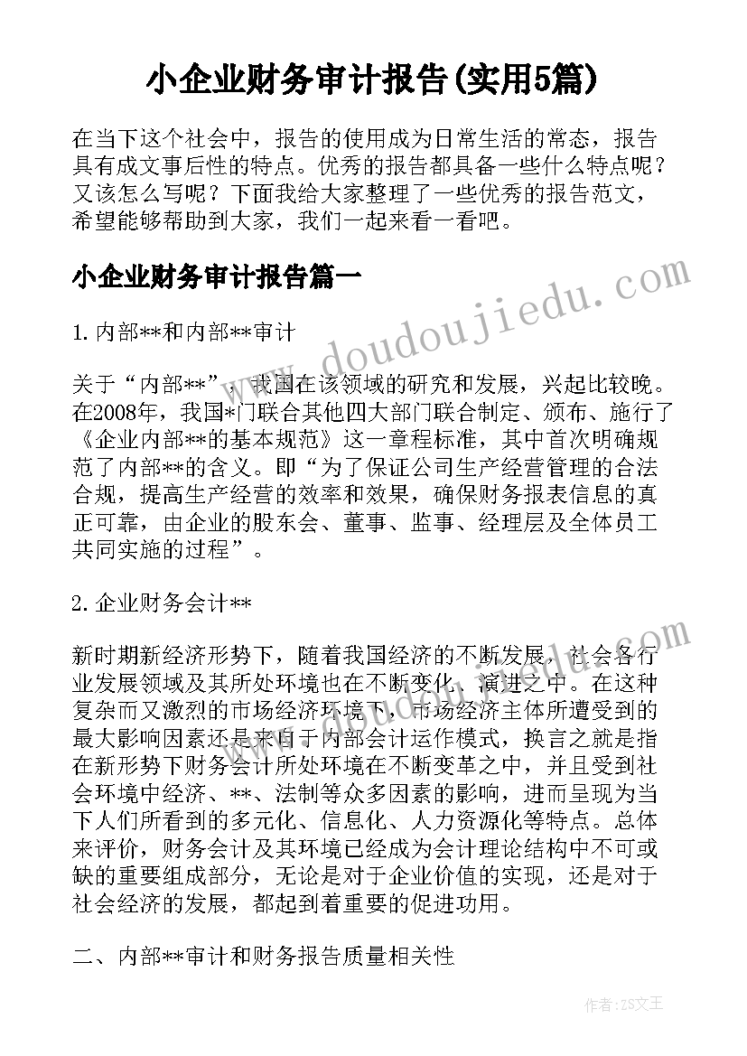 小企业财务审计报告(实用5篇)