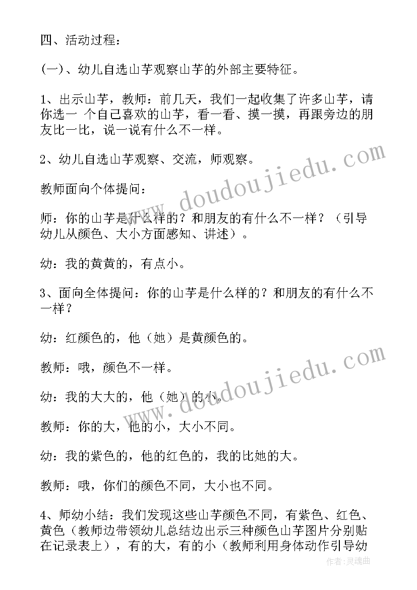 2023年动物的睡姿科学教案(精选6篇)