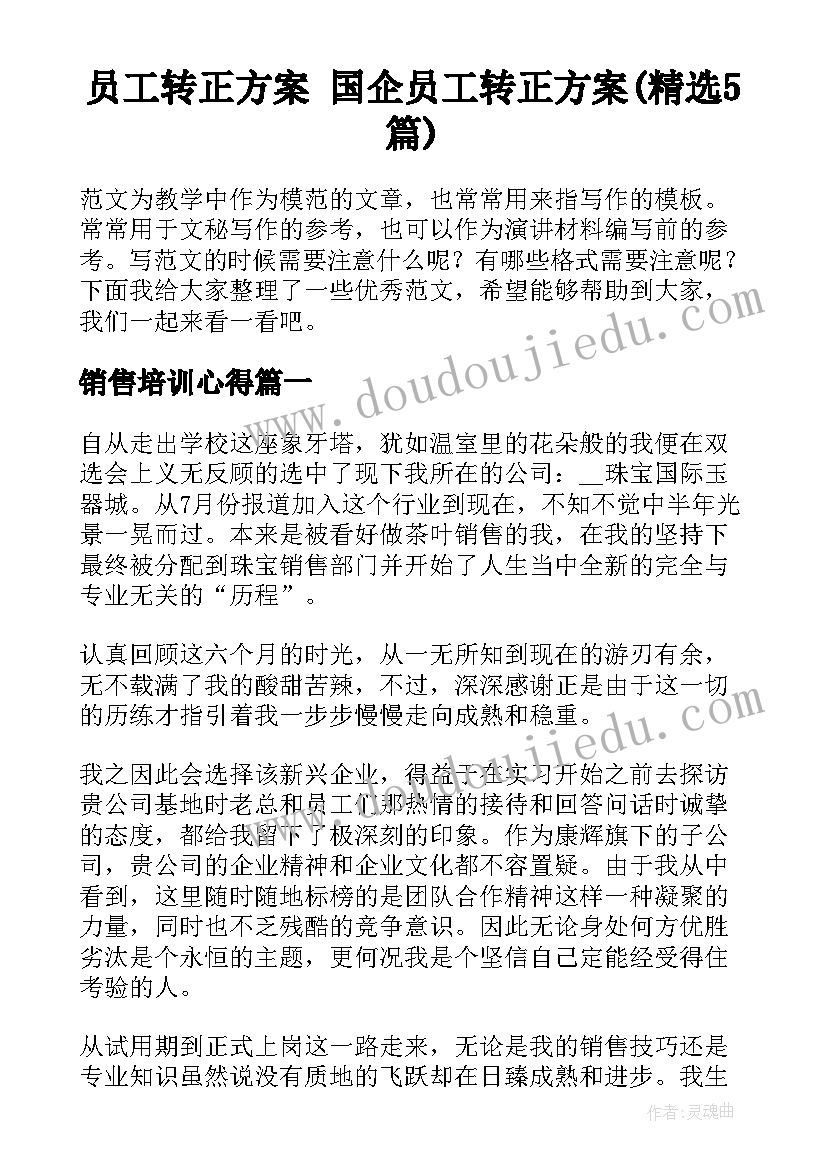 员工转正方案 国企员工转正方案(精选5篇)