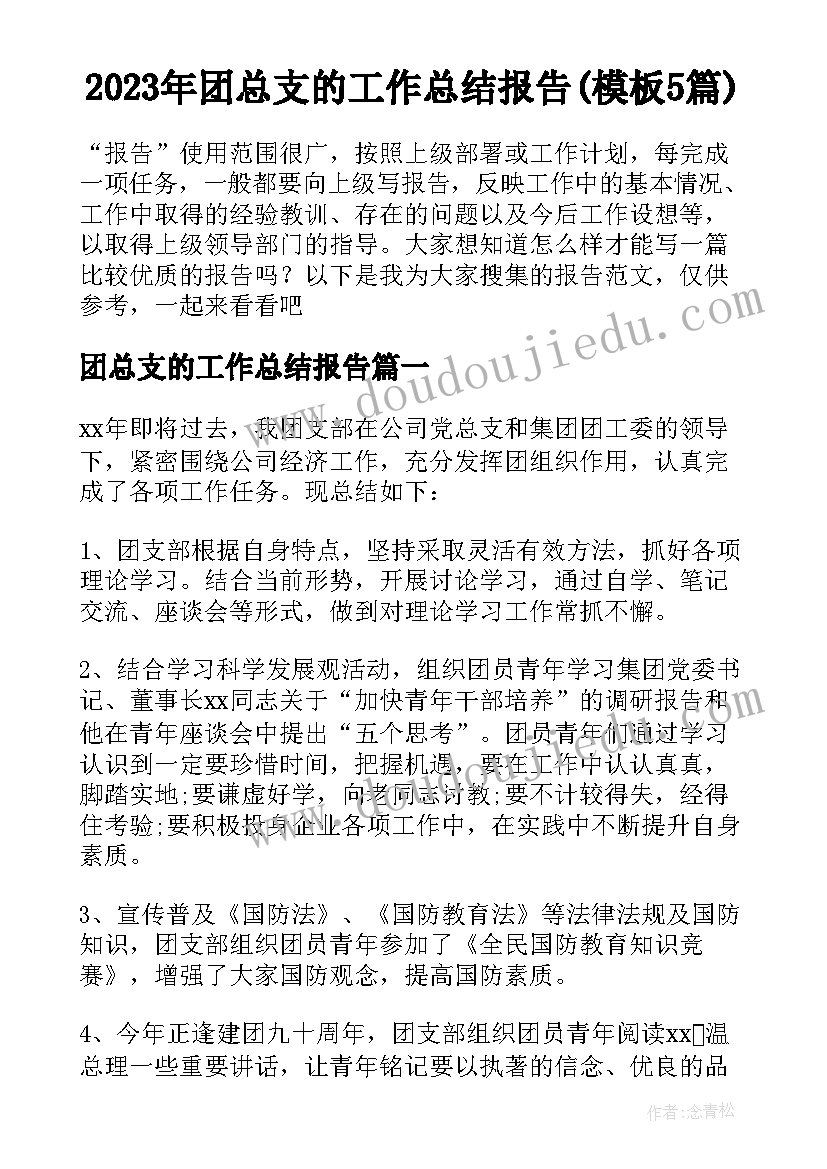 2023年团总支的工作总结报告(模板5篇)