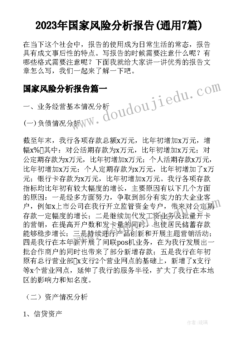 2023年国家风险分析报告(通用7篇)