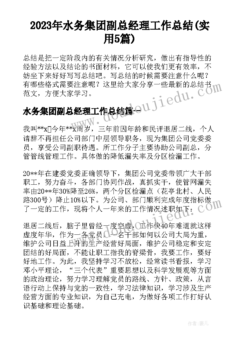 2023年水务集团副总经理工作总结(实用5篇)