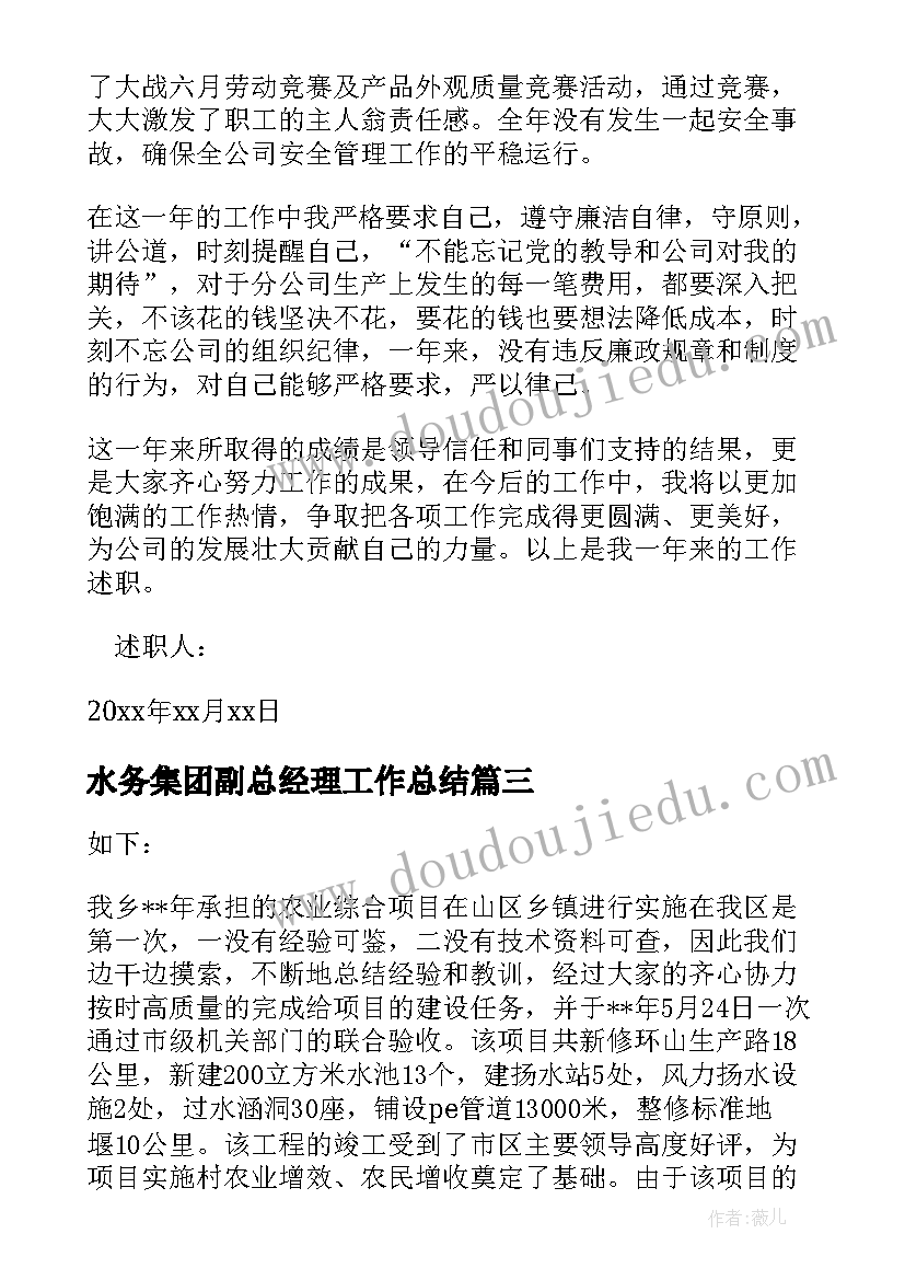 2023年水务集团副总经理工作总结(实用5篇)