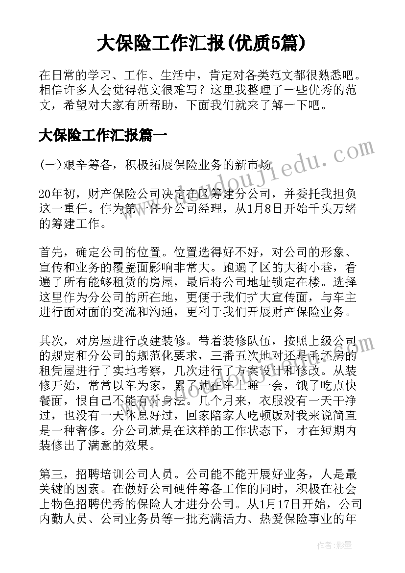 大保险工作汇报(优质5篇)