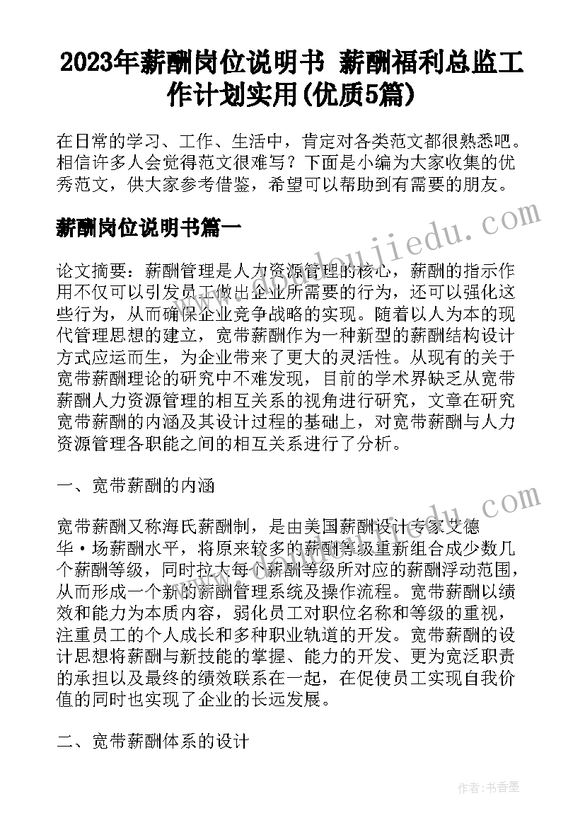 2023年薪酬岗位说明书 薪酬福利总监工作计划实用(优质5篇)