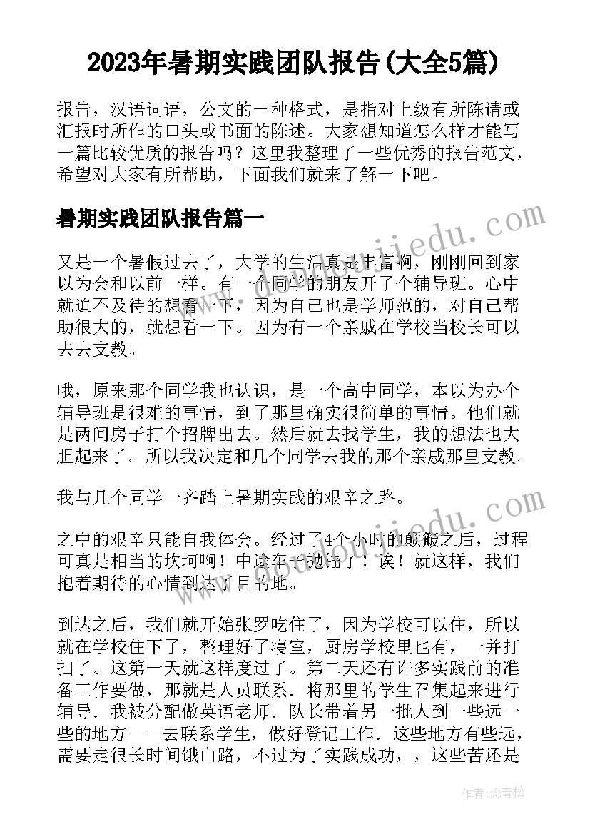 2023年暑期实践团队报告(大全5篇)