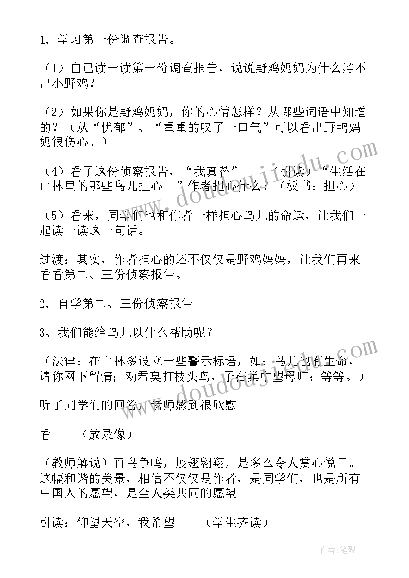 最新鸟儿的侦查报告教案(大全5篇)