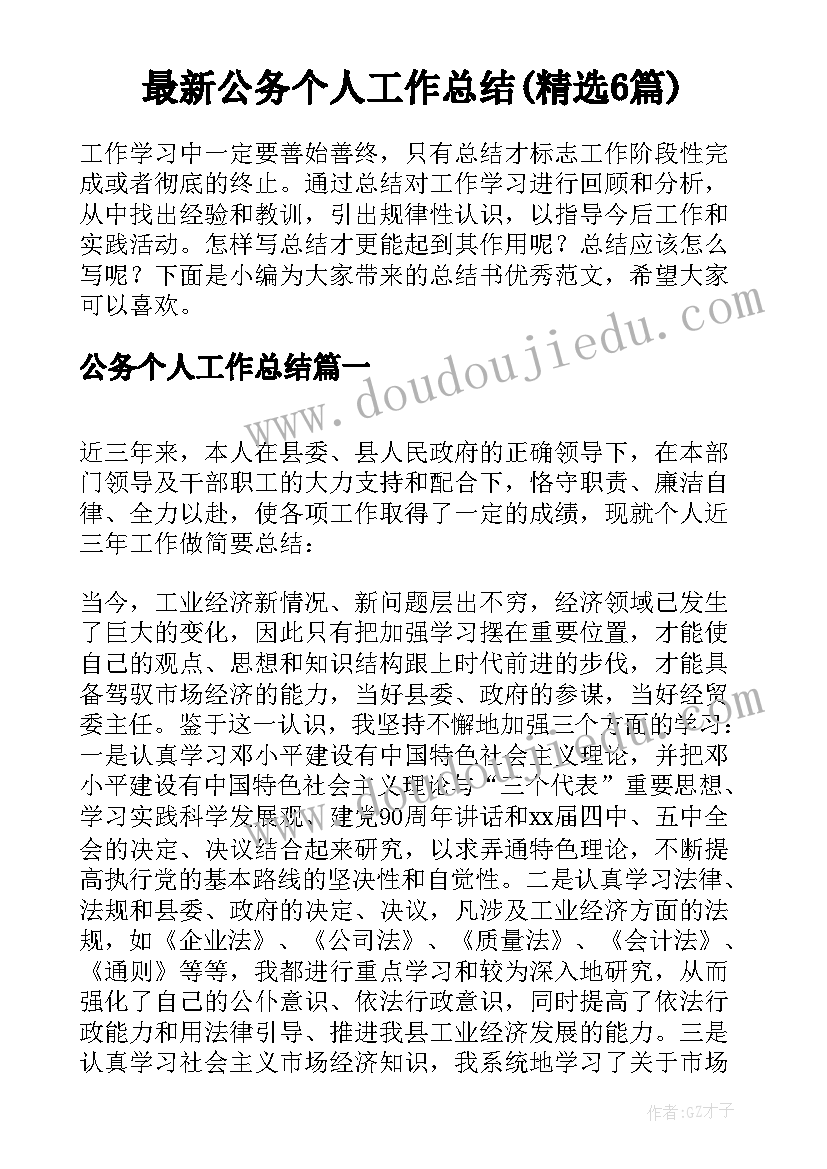 最新公务个人工作总结(精选6篇)