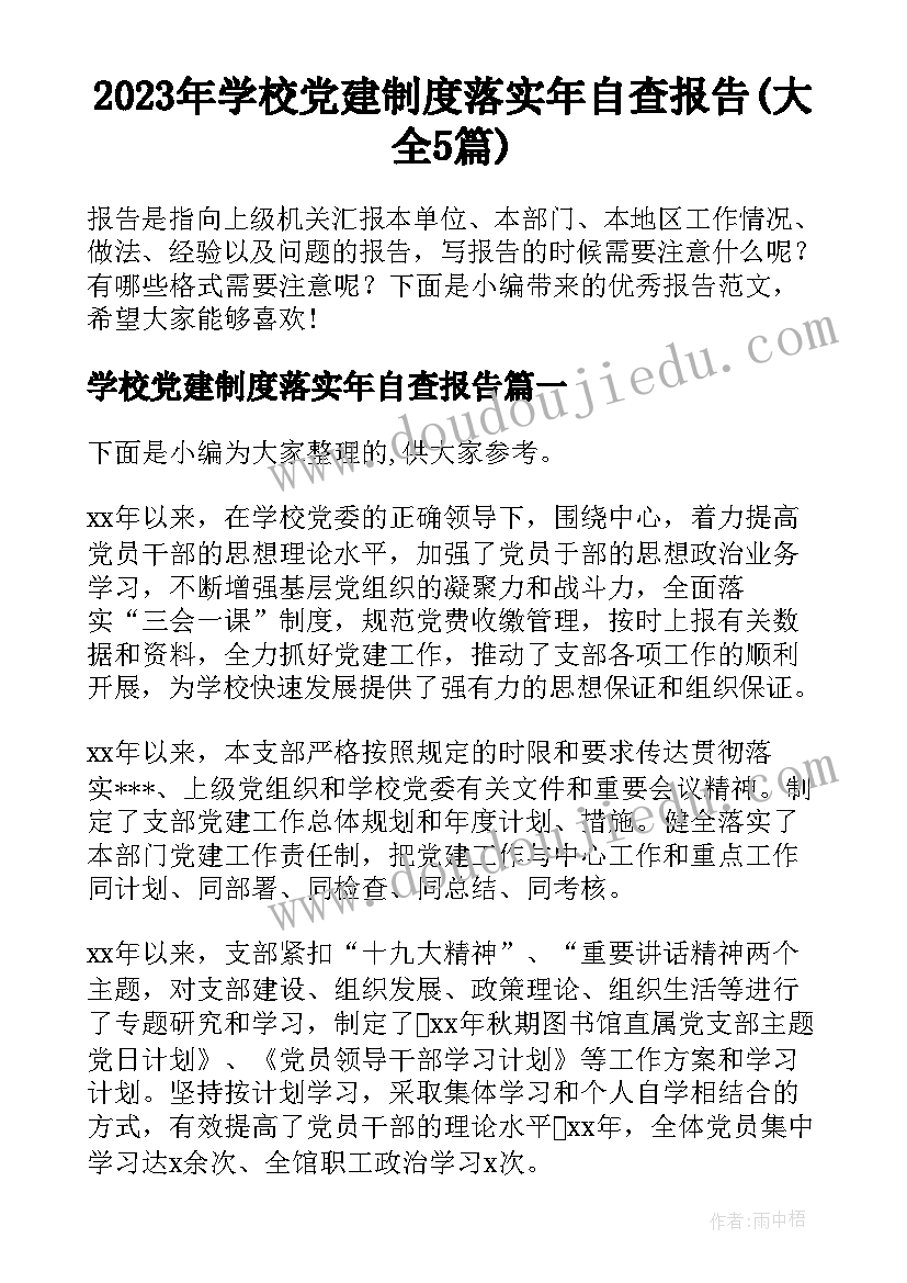 2023年学校党建制度落实年自查报告(大全5篇)