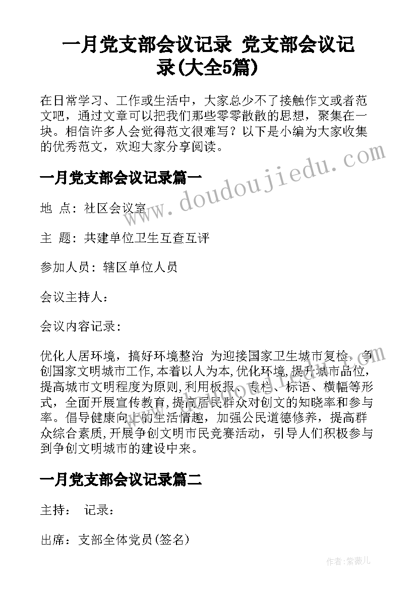 一月党支部会议记录 党支部会议记录(大全5篇)