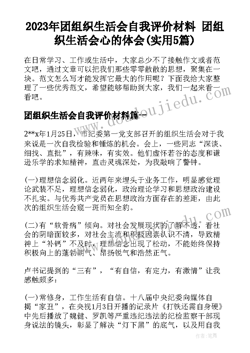 2023年团组织生活会自我评价材料 团组织生活会心的体会(实用5篇)