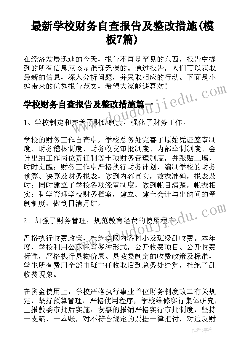 最新学校财务自查报告及整改措施(模板7篇)