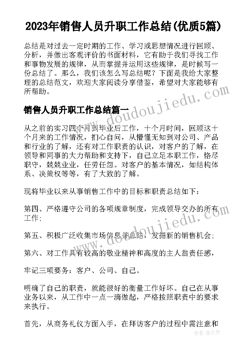 2023年销售人员升职工作总结(优质5篇)