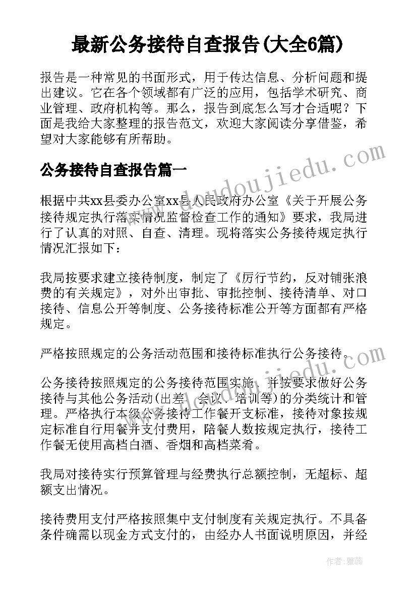 最新公务接待自查报告(大全6篇)