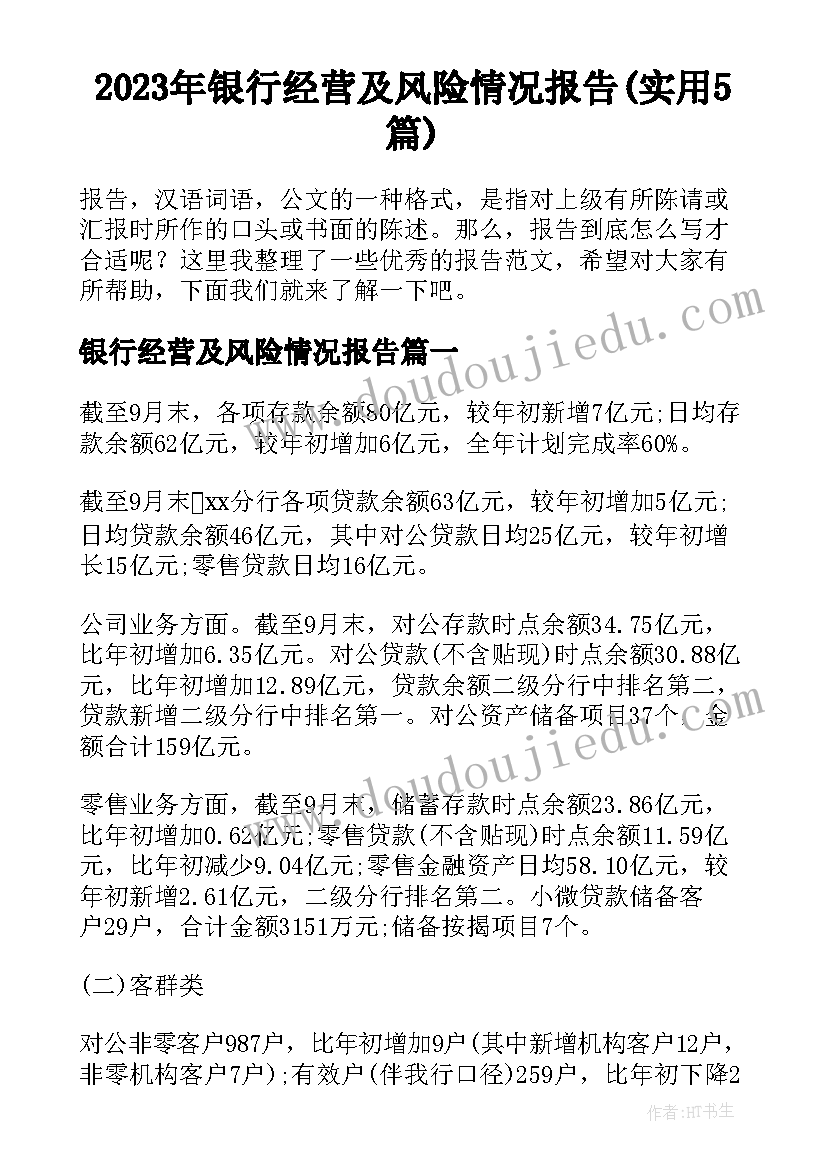 2023年银行经营及风险情况报告(实用5篇)