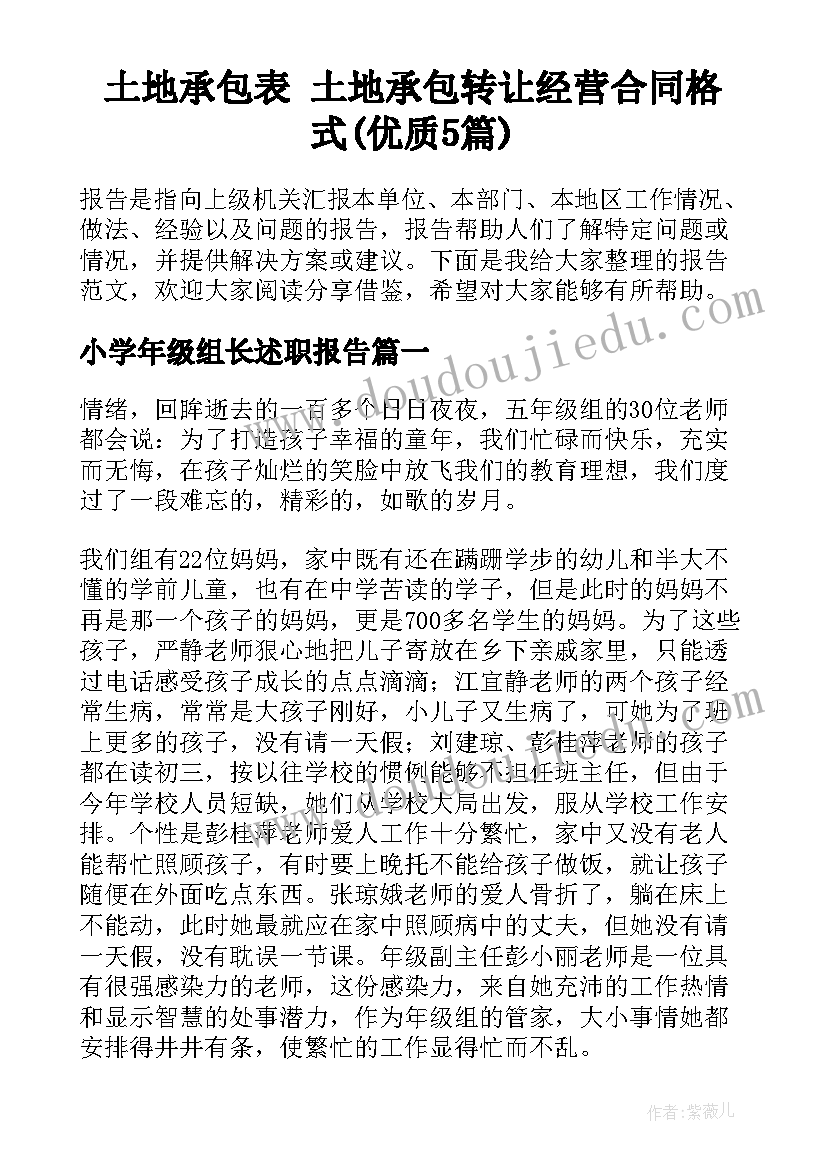 土地承包表 土地承包转让经营合同格式(优质5篇)