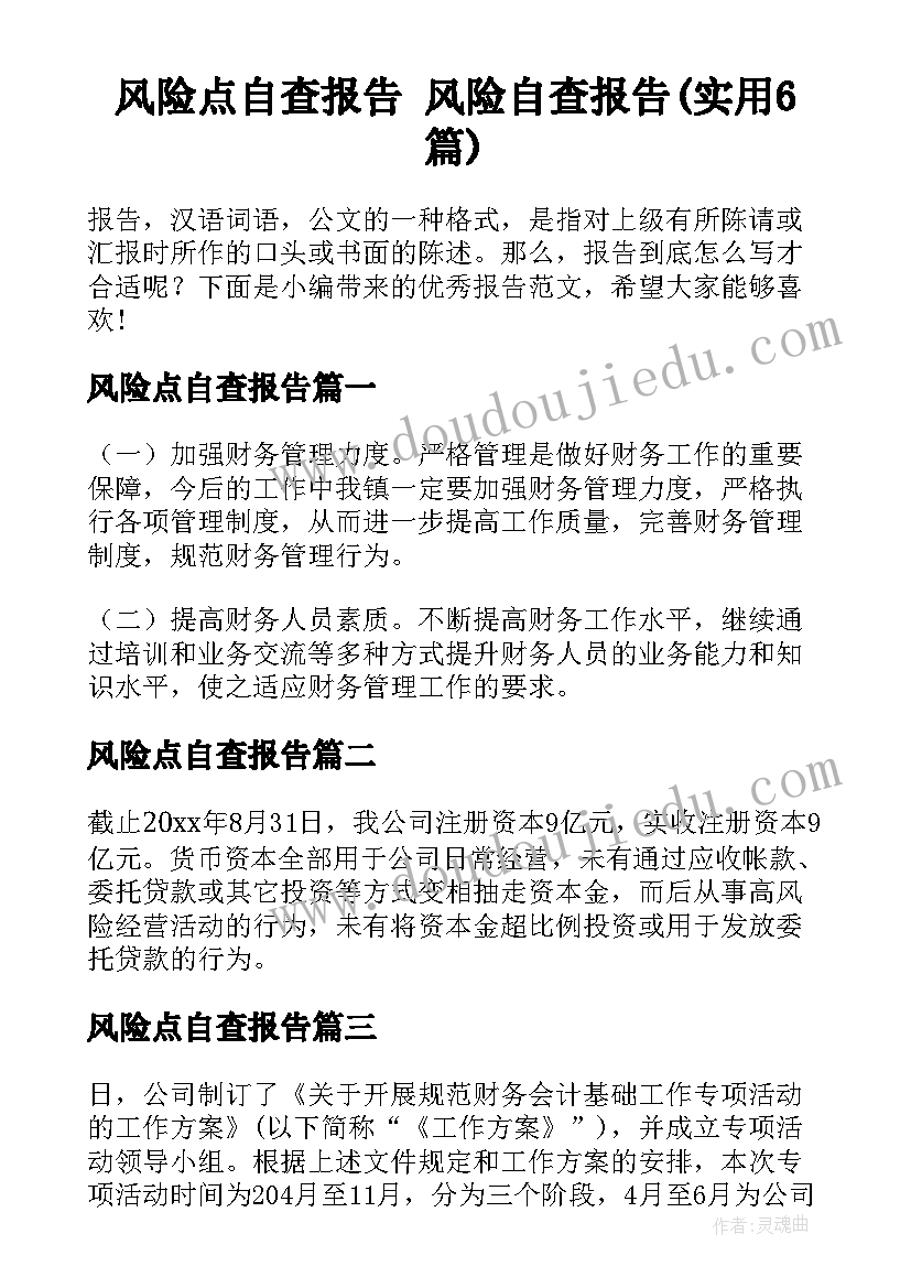 风险点自查报告 风险自查报告(实用6篇)