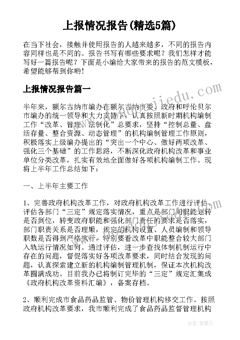 上报情况报告(精选5篇)