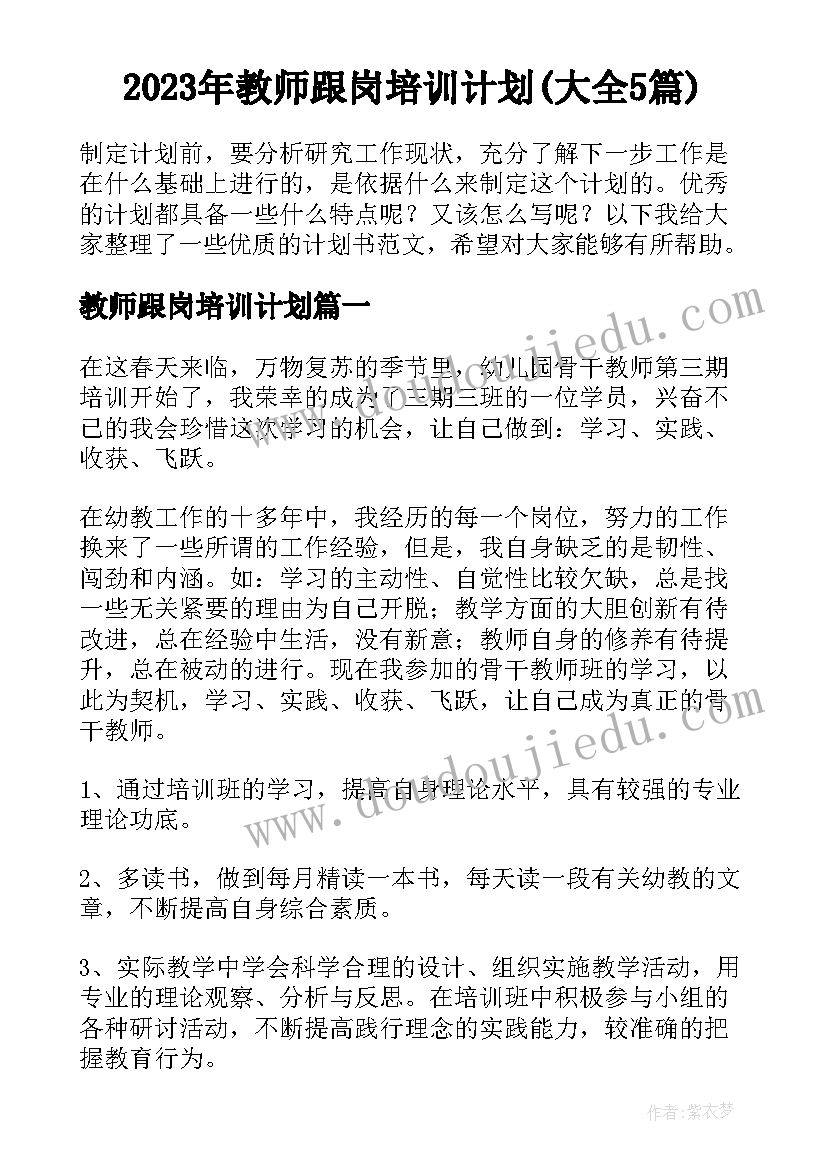 2023年教师跟岗培训计划(大全5篇)