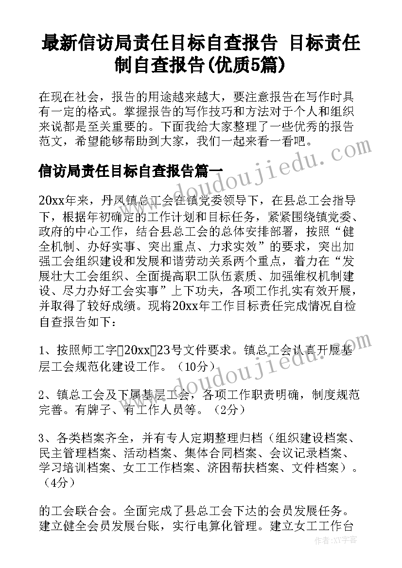 最新信访局责任目标自查报告 目标责任制自查报告(优质5篇)