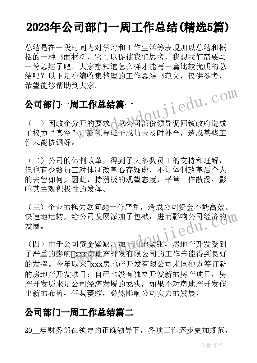 2023年公司部门一周工作总结(精选5篇)