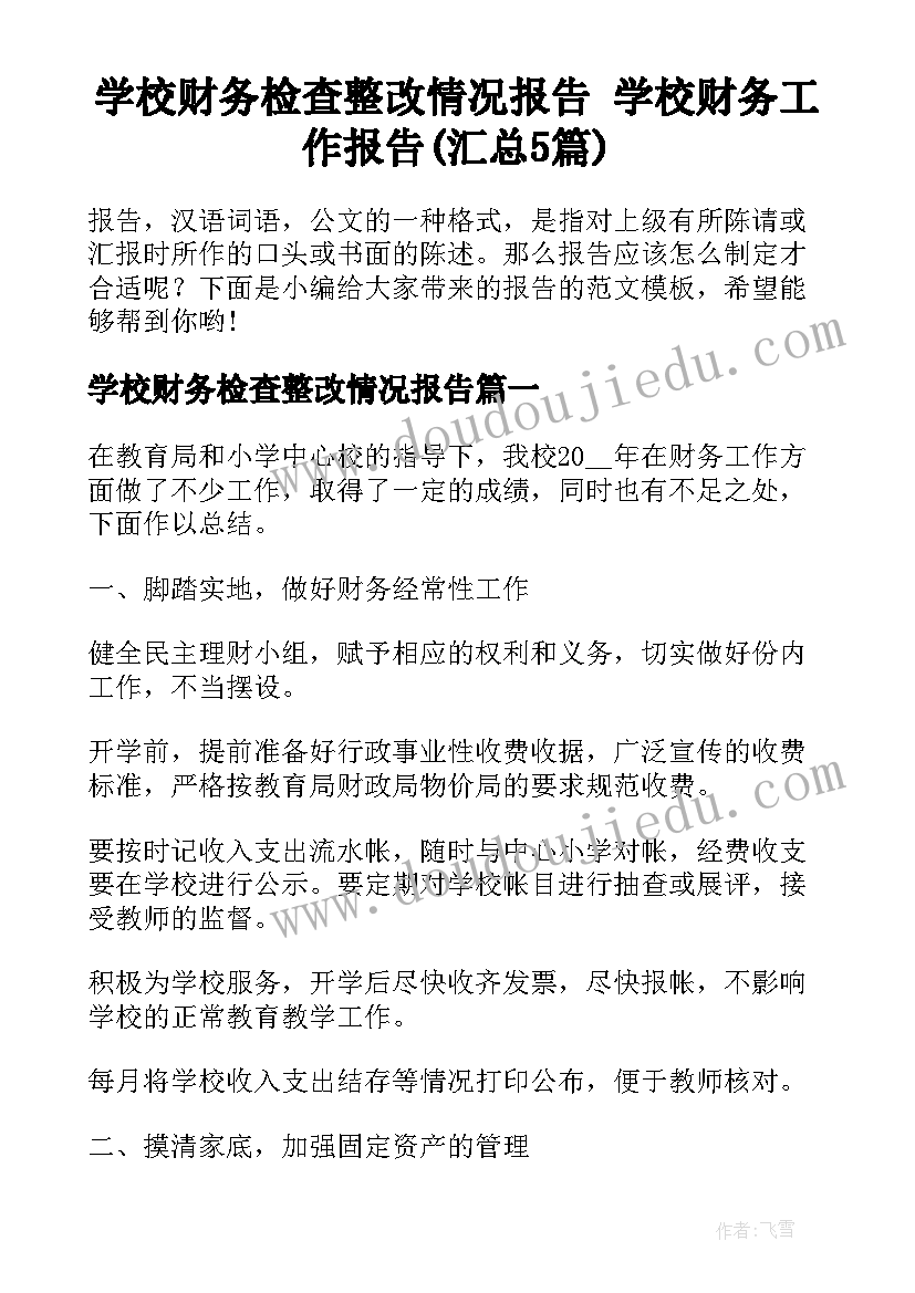 学校财务检查整改情况报告 学校财务工作报告(汇总5篇)