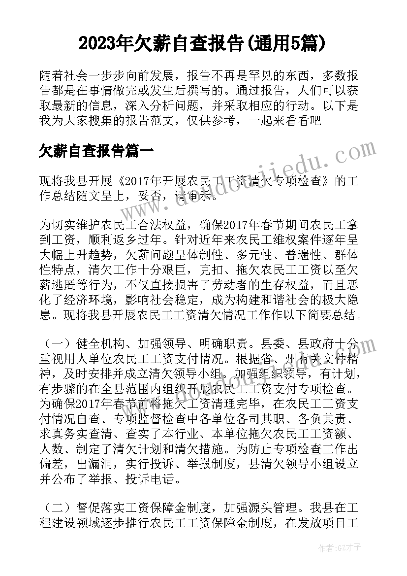 2023年欠薪自查报告(通用5篇)