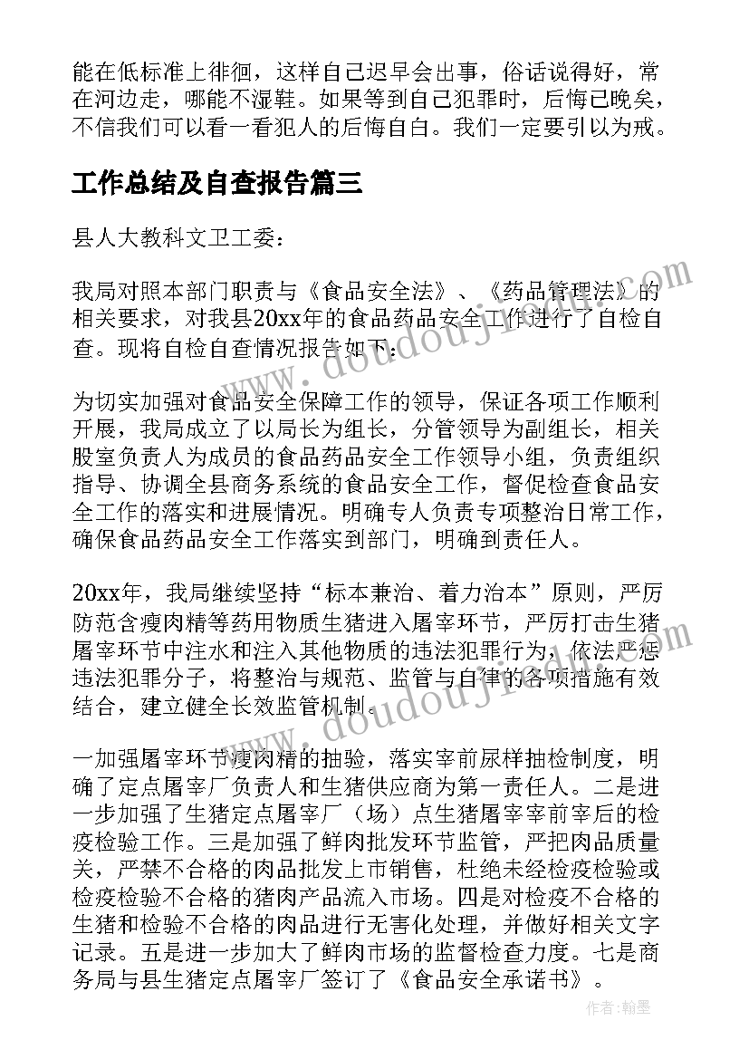 2023年工作总结及自查报告(优秀5篇)