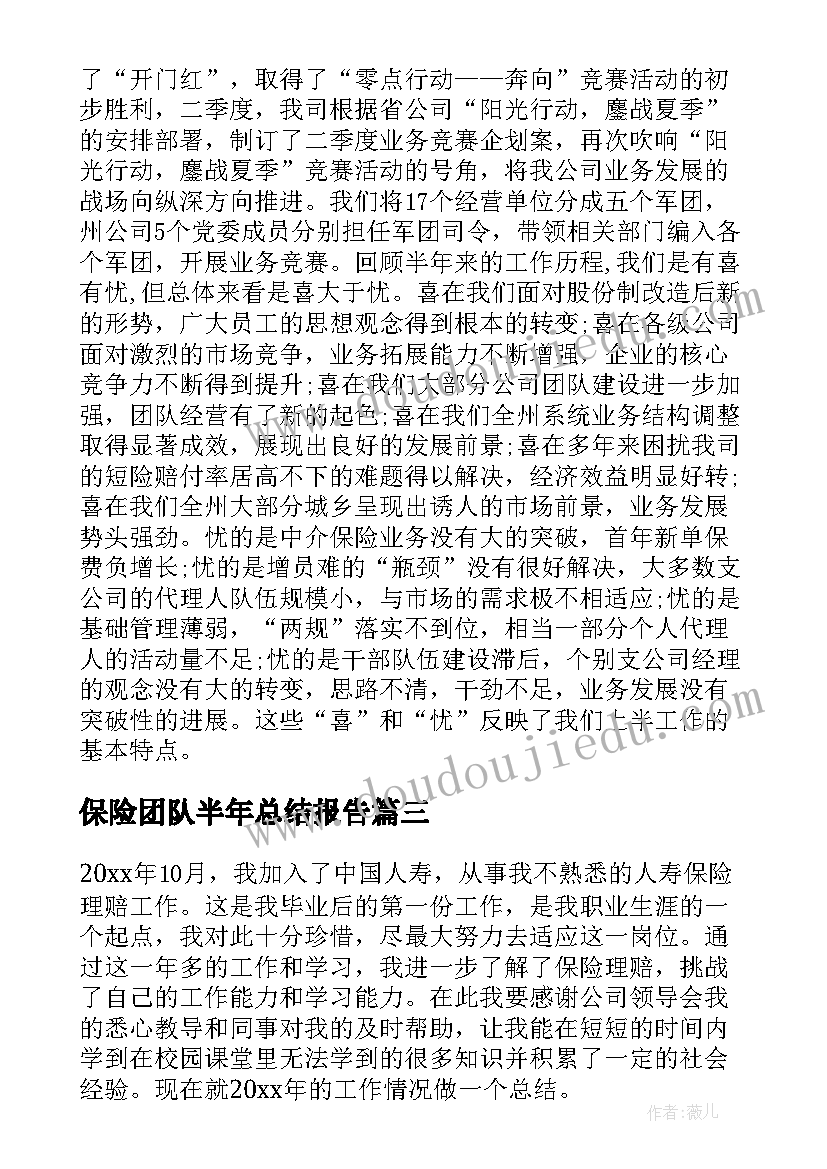 2023年保险团队半年总结报告(通用5篇)