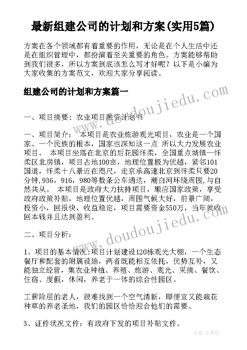 最新组建公司的计划和方案(实用5篇)