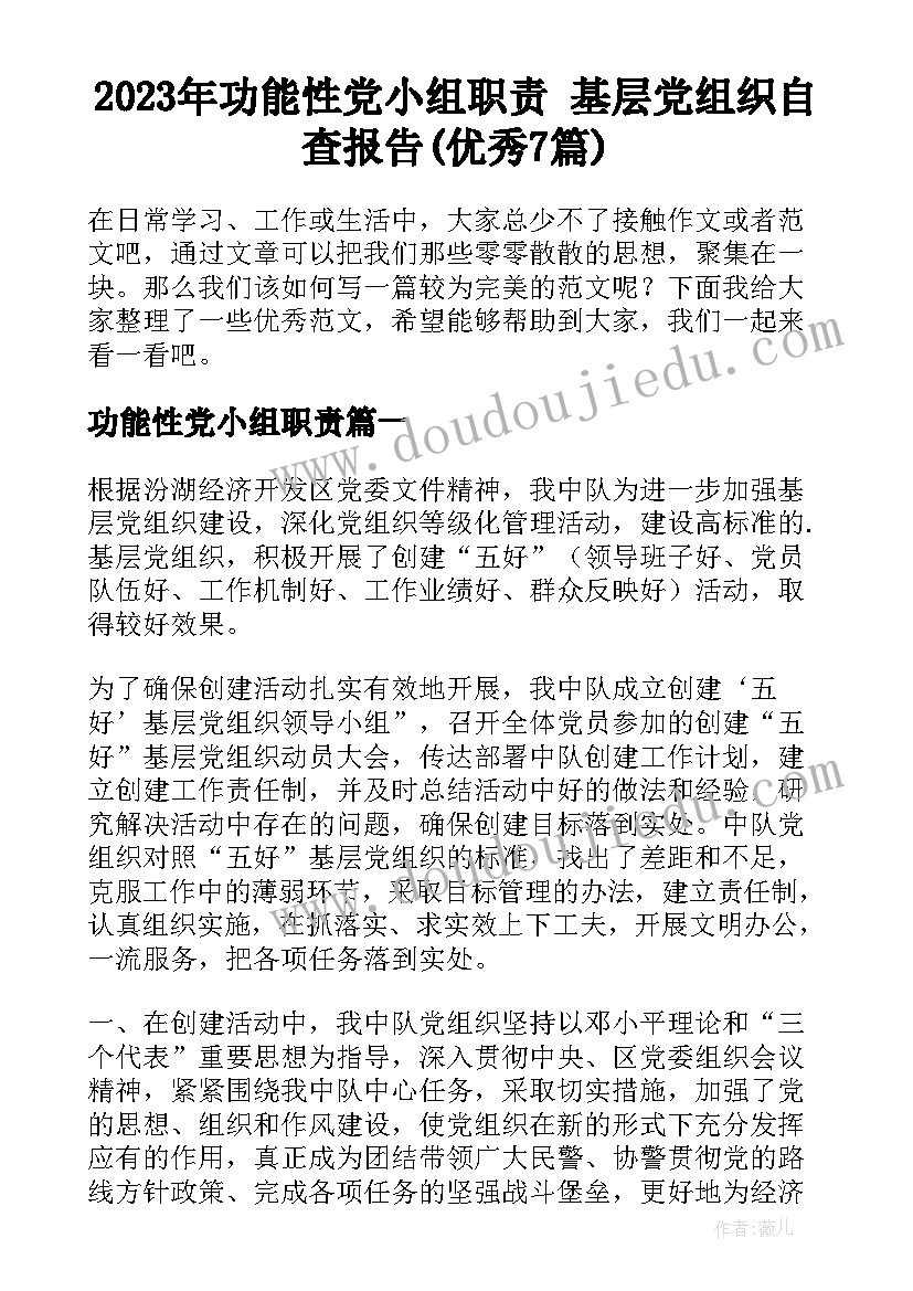 2023年功能性党小组职责 基层党组织自查报告(优秀7篇)