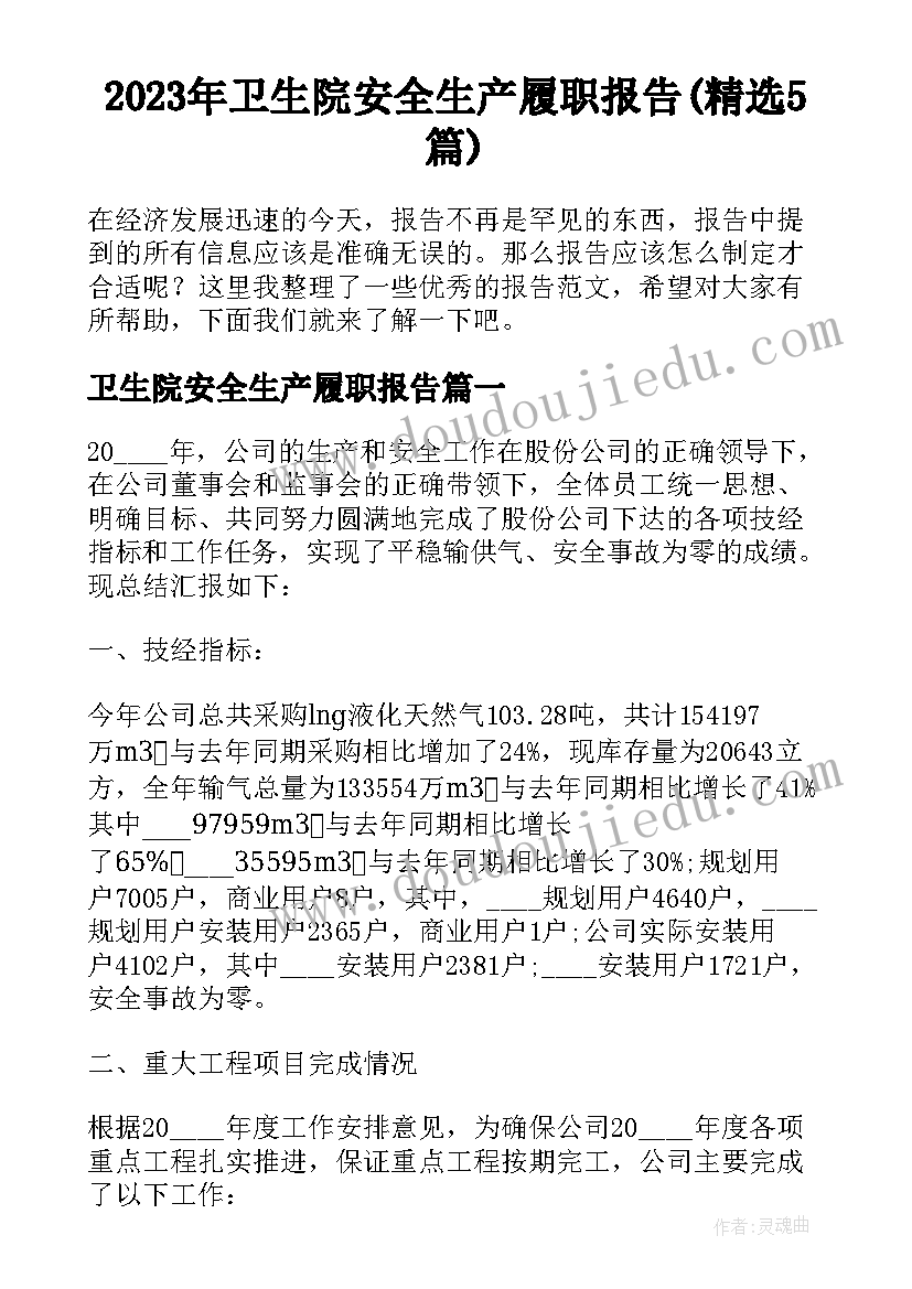 2023年卫生院安全生产履职报告(精选5篇)