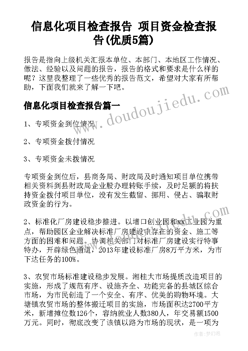 信息化项目检查报告 项目资金检查报告(优质5篇)