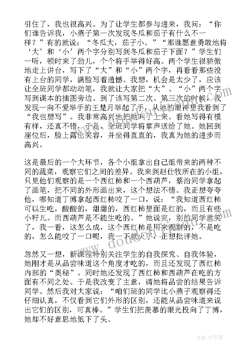 2023年燕子妈妈笑了教案(通用5篇)