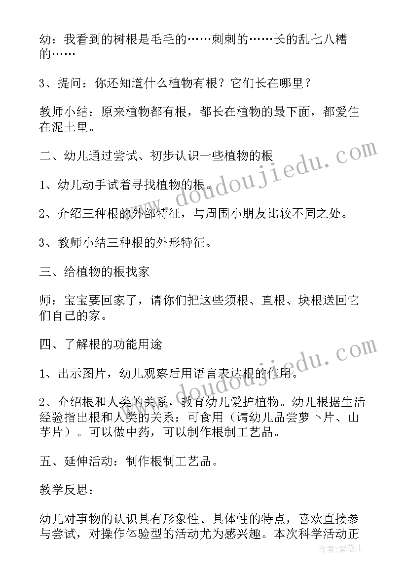 2023年科学活动找影子教案反思大班(大全6篇)