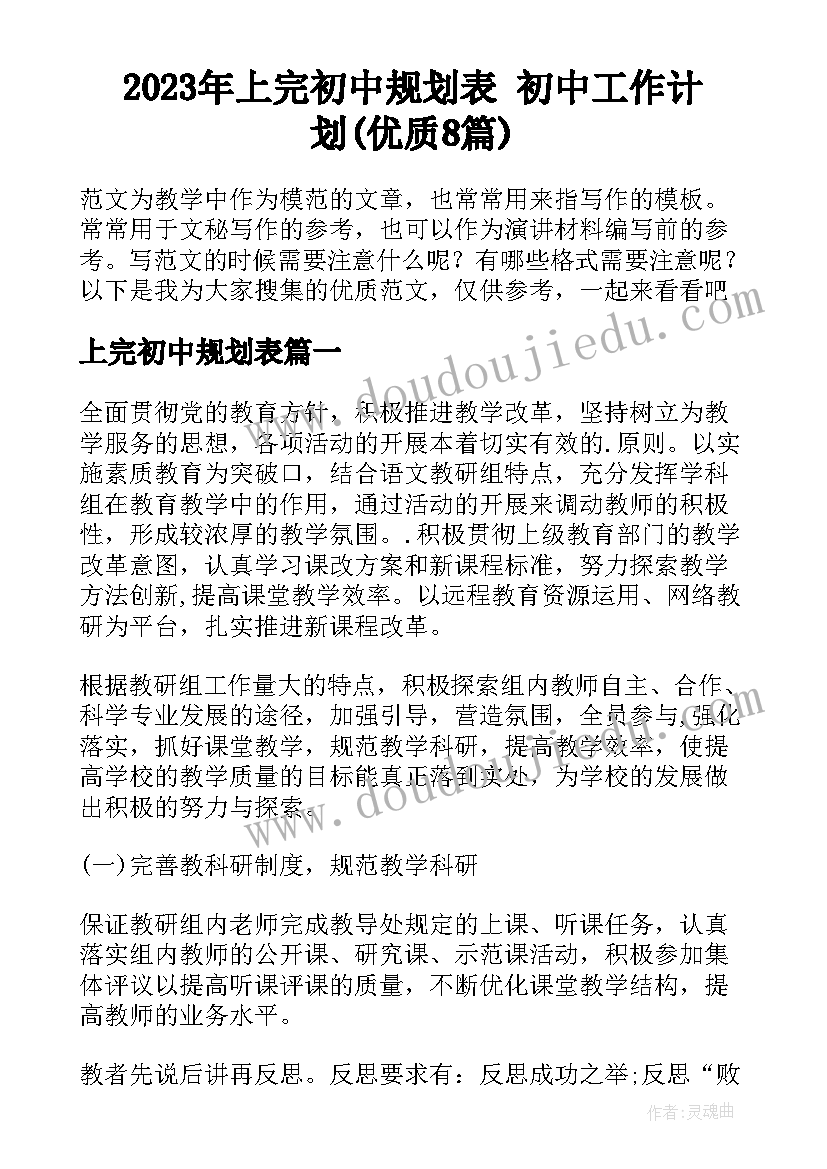 2023年上完初中规划表 初中工作计划(优质8篇)