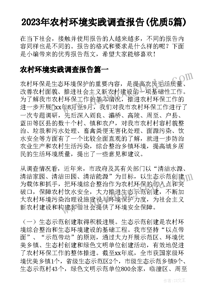 2023年农村环境实践调查报告(优质5篇)